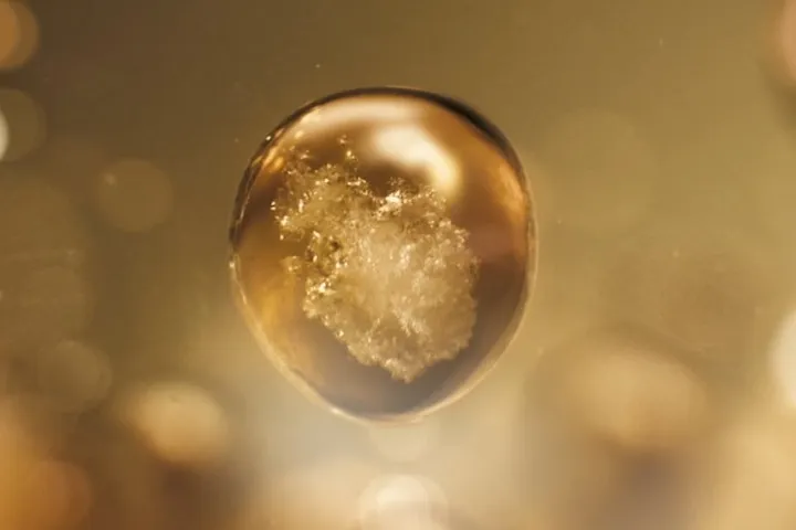 La Mer Miracle Broth Algen