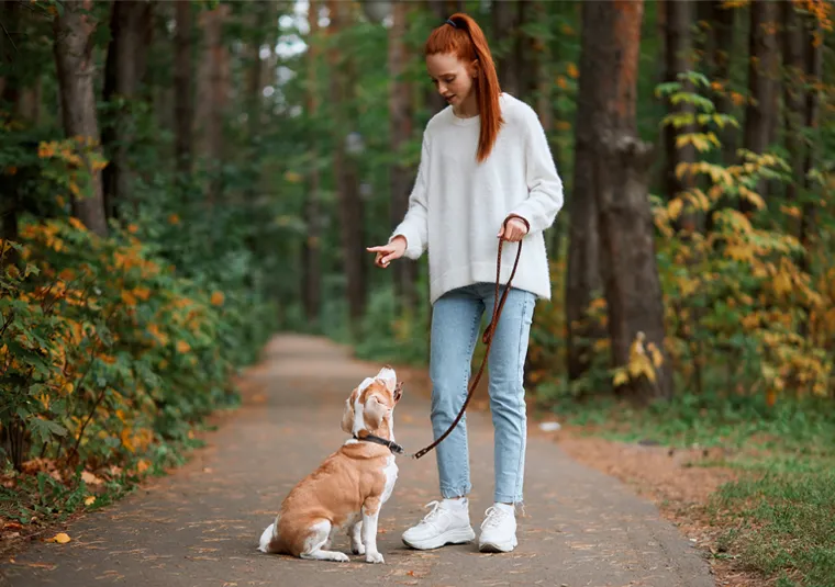 Szczeniak załatwiający się na trawie, właściciel chwali