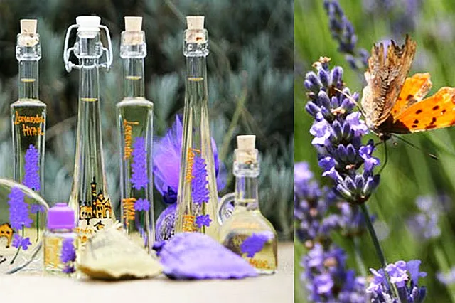 Produkty lawendowe Chorwacja pamiątki