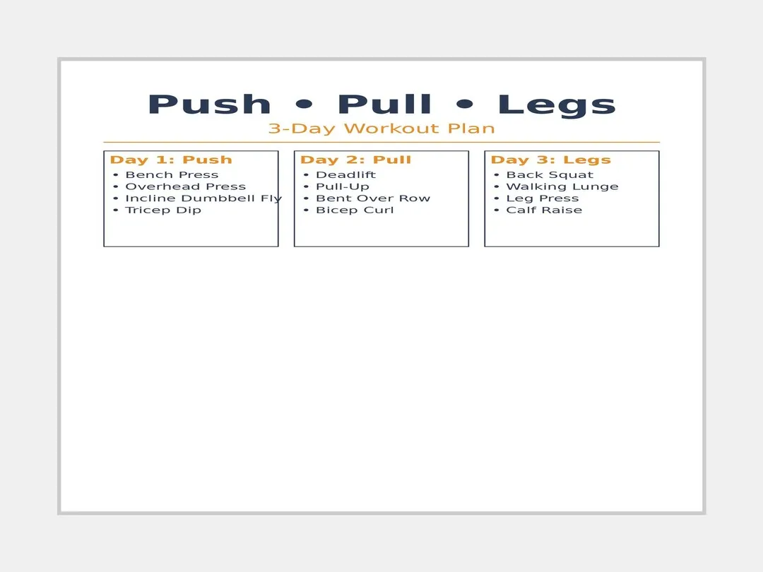 grafika mięśnie push pull legs, podział mięśni na grupy