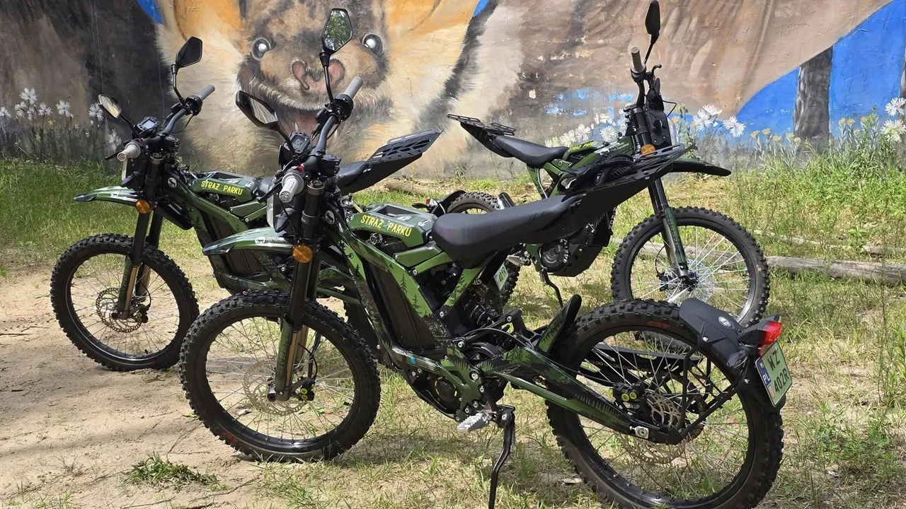 Motocykl na leśnej drodze Kampinoskiego Parku Narodowego