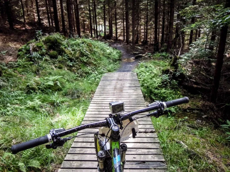 Singltrek pod Smrkem rowery g&oacute;ry izerskie