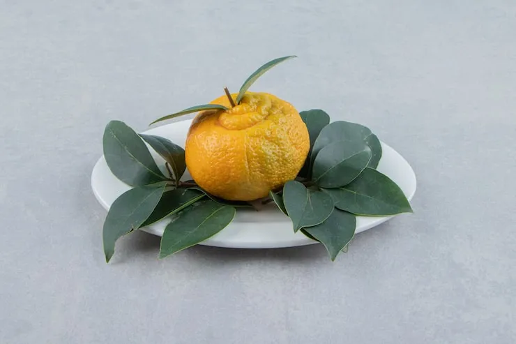 piatto di mandarini freschi interi con foglie