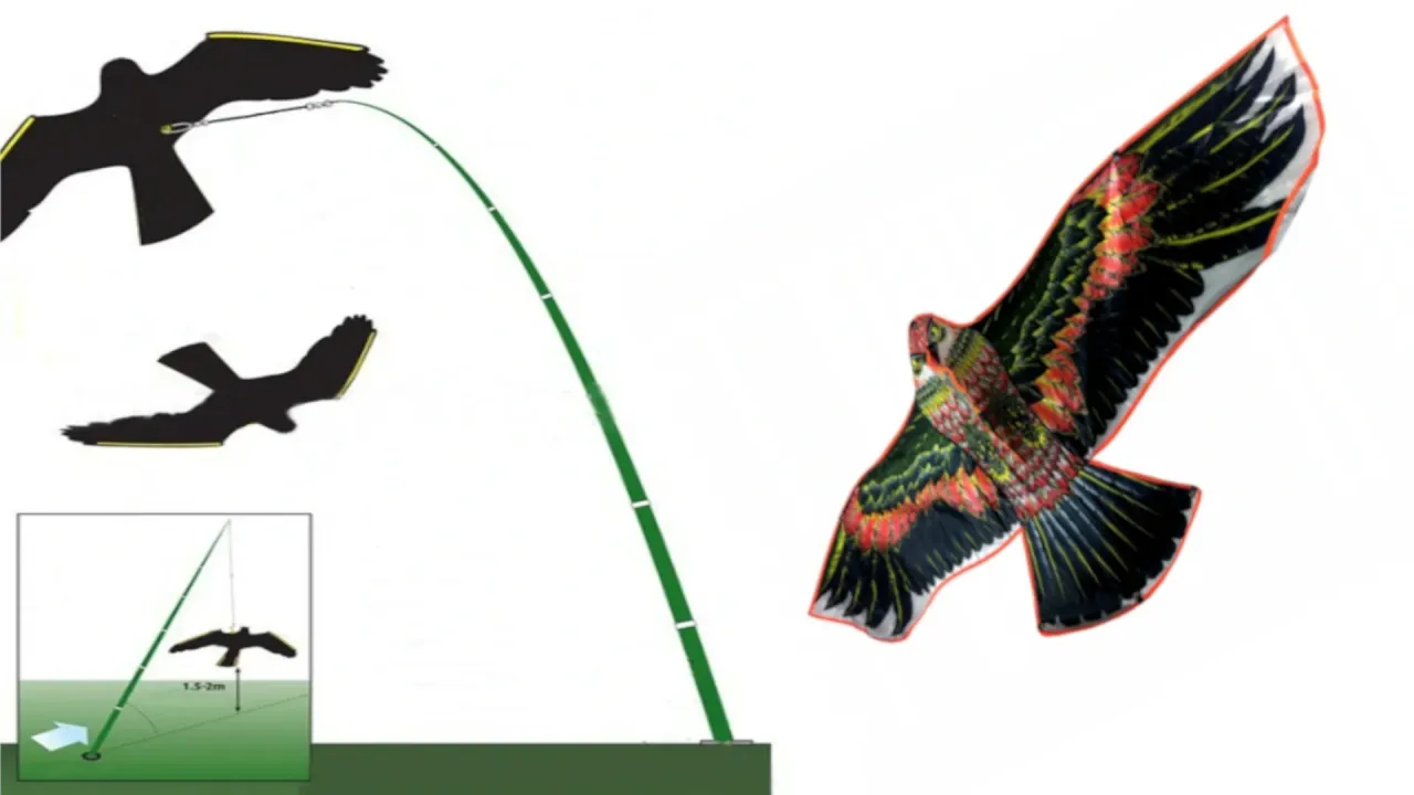 Rozłożone części latawca orła przed montażem