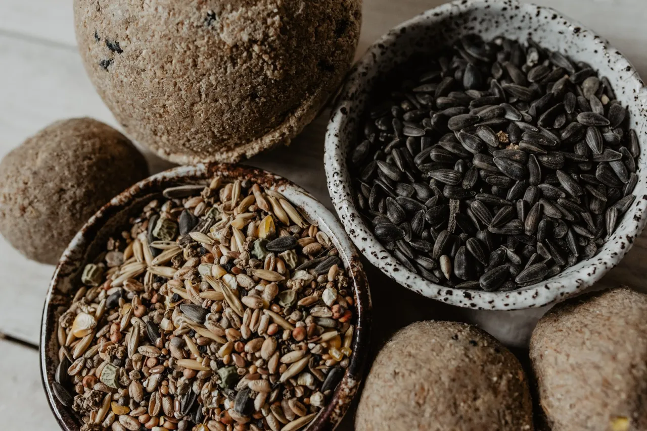 r&oacute;żne nasiona chwast&oacute;w dla ptak&oacute;w