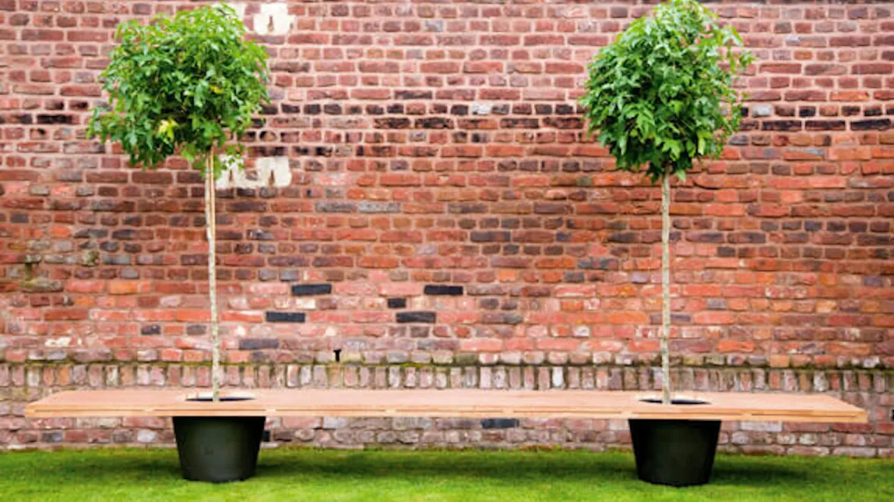 Drewniana ławka ogrodowa z otworami na drzewka w donicach, idealna do Twojego ogrodu. Dowiedz się, jak zbudować ławkę ogrodową drewnianą.