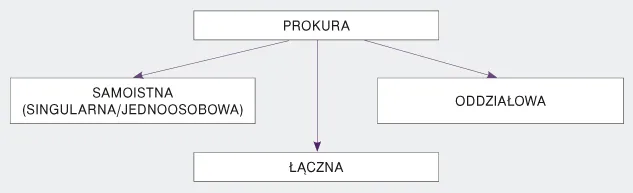 prokura samoistna a łączna schemat