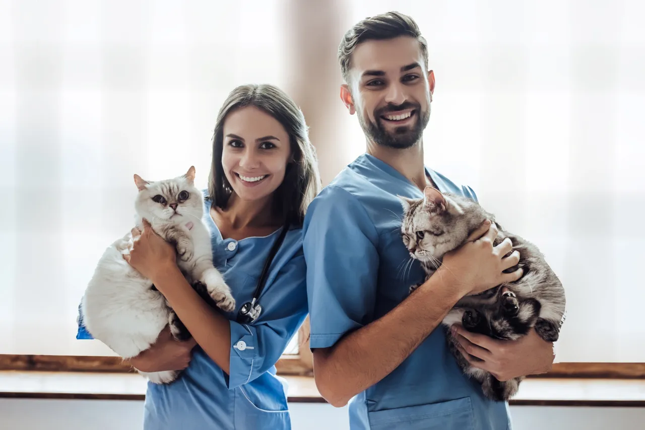 Lekarz weterynarii w gabinecie rozmawiający z opiekunem zwierzęcia