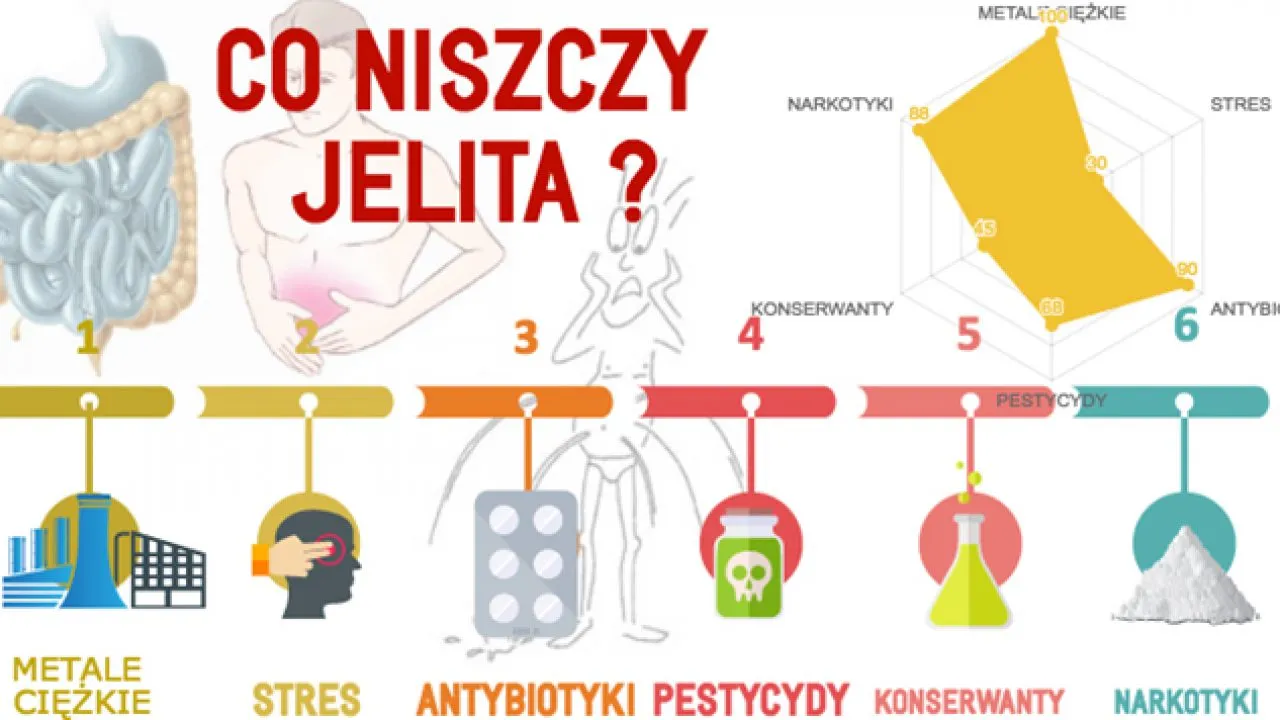 Wpływ antybiotyk&oacute;w na florę jelitową grafika