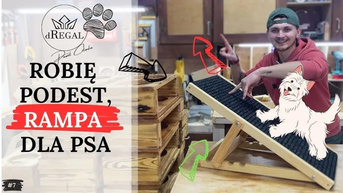 Zdjęcie Jak zrobić rampę dla psa - proste kroki, które ułatwią mu życie