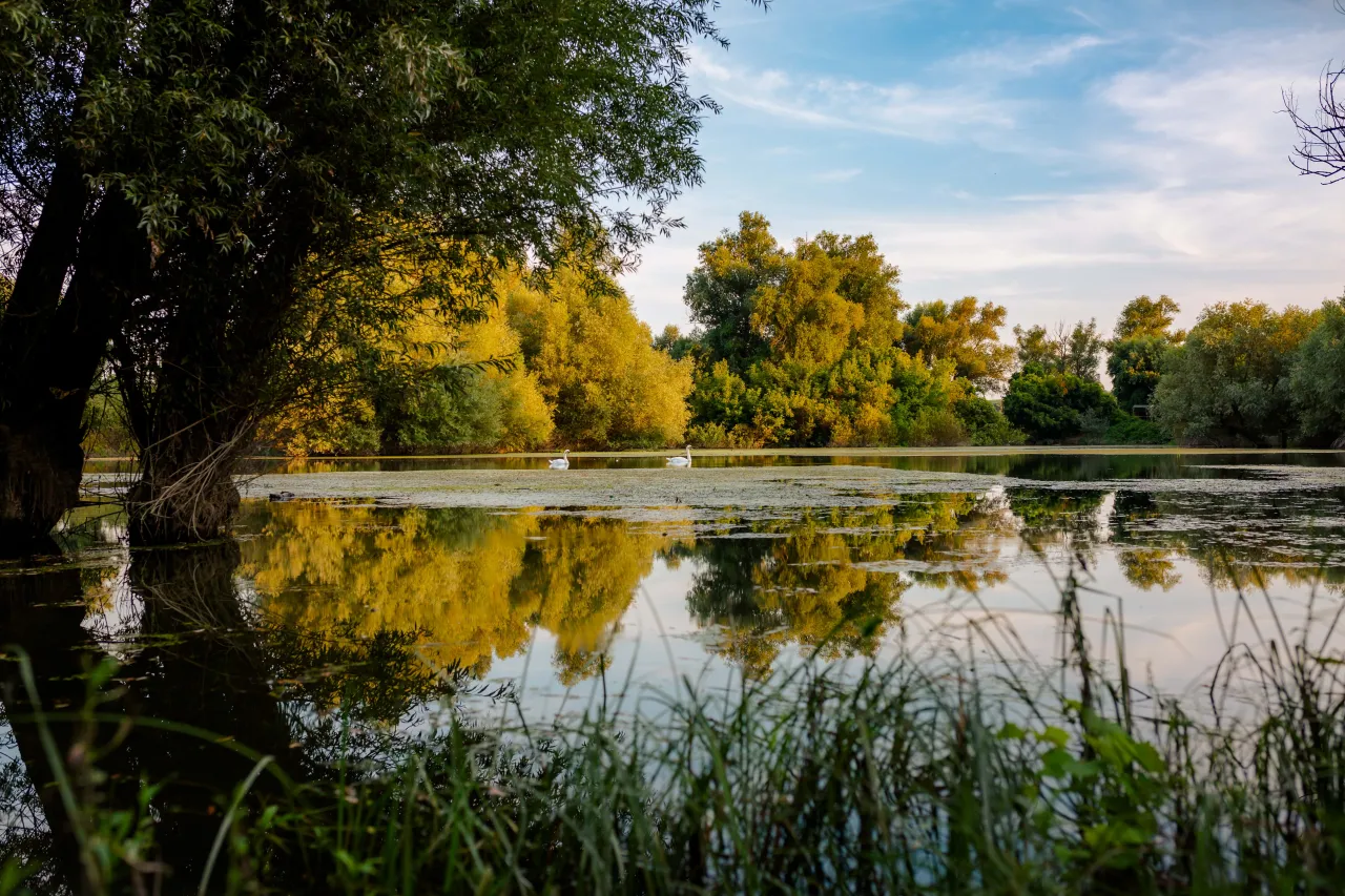Spektakularne krajobrazy naturalne