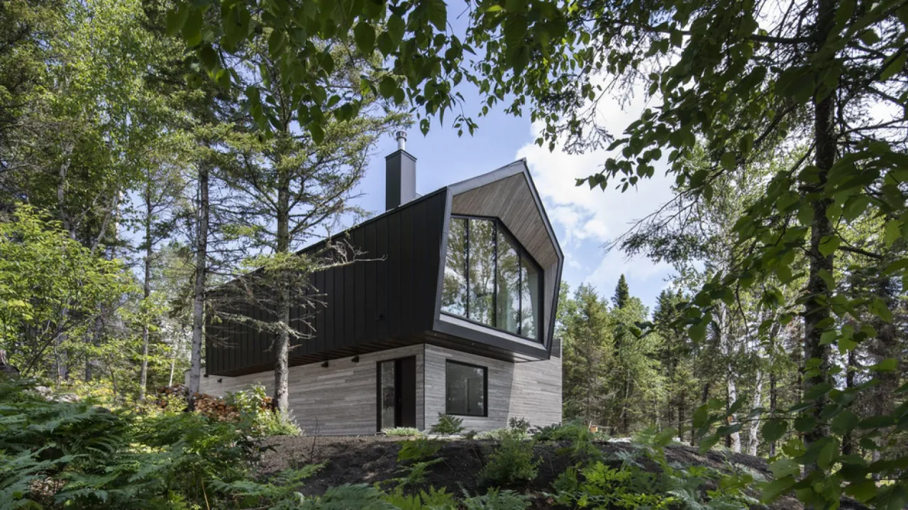 nowoczesny dom szkieletowy w lesie