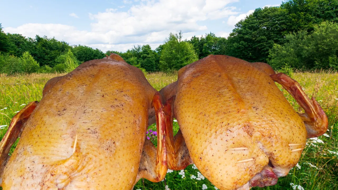 kaczka pieczona zdrowa