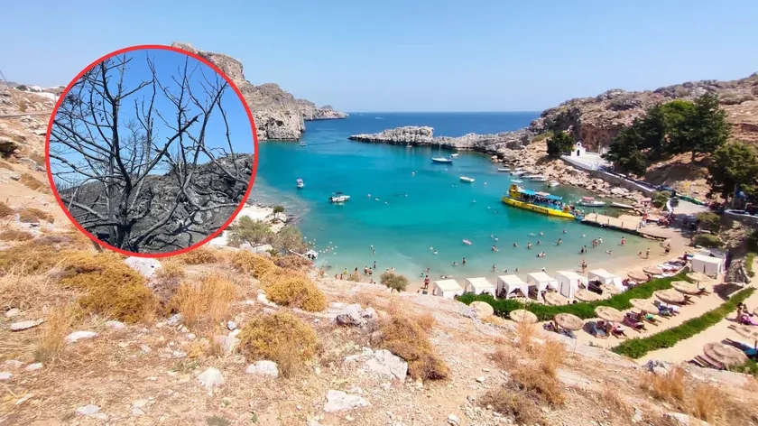 Odbudowane tereny zielone na Rodos po pożarach 2023