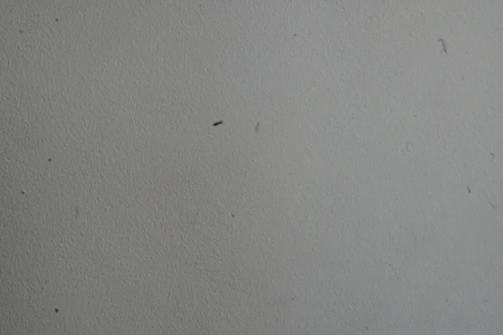 zdjęcie testowe brudnej matrycy aparatu