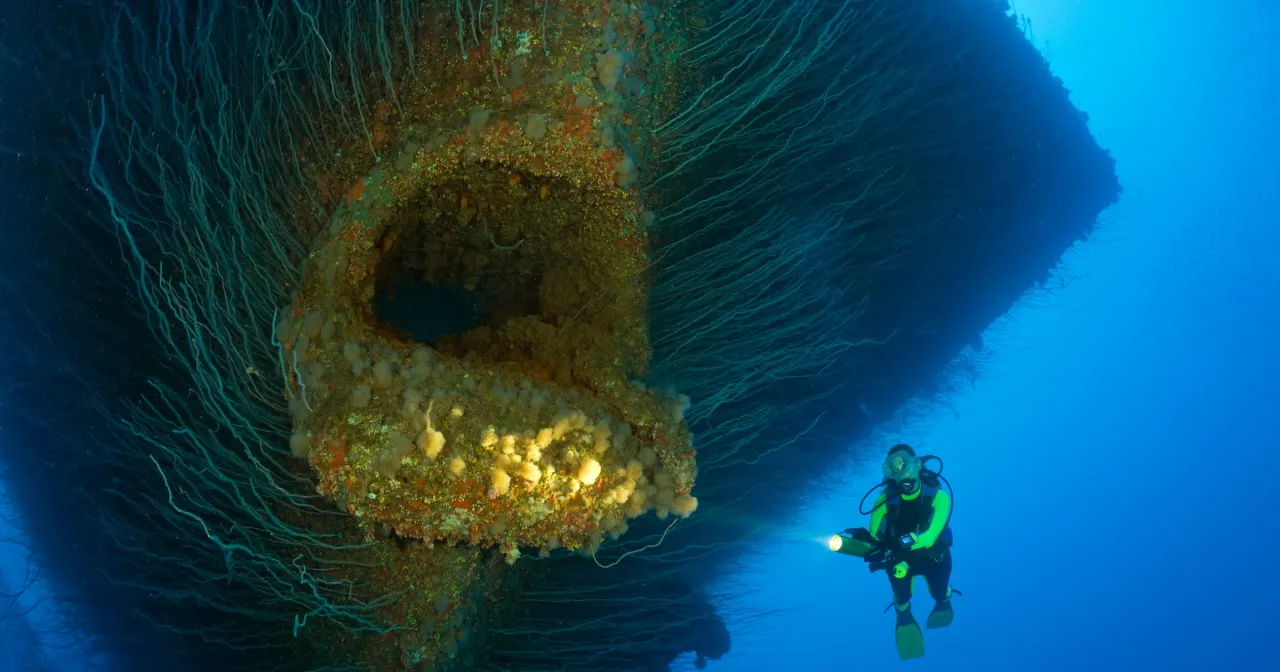 Nurkowie badają podwodny wrak, odkrywając tylko niewielki procent tego, ile procent oceanu jest odkryte.