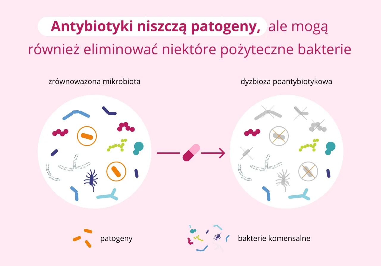 Czynniki wpływające na czas suplementacji probiotyków