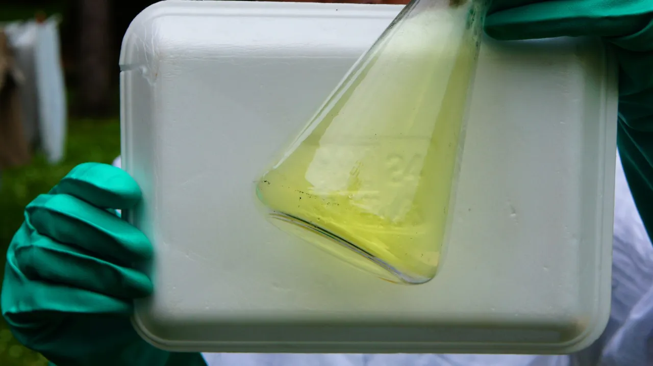 ż&oacute;łtozielony gaz chlor