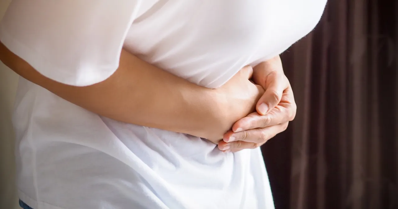 Anatomia lewej strony jamy brzusznej