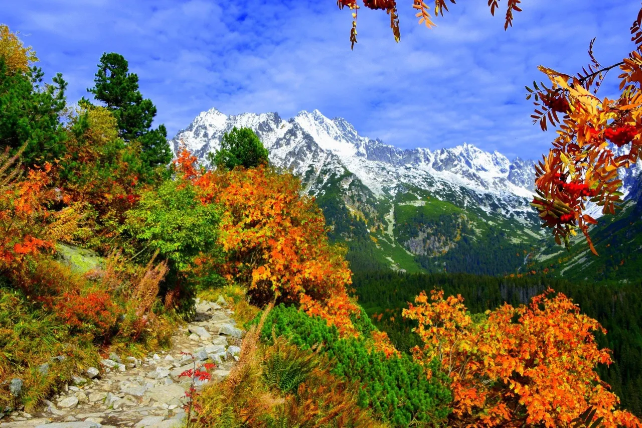 Tatry widoki szlaki jesień