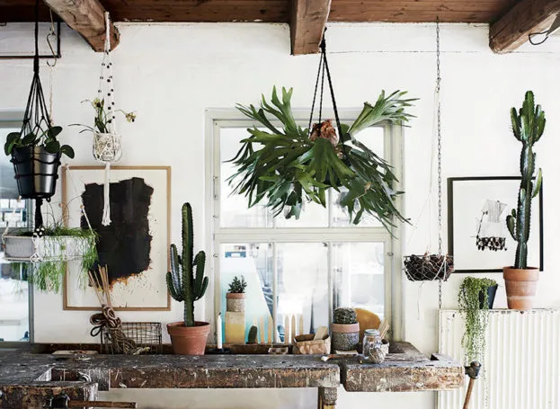 stylowe aranżacje roślin w kuchni wiszące doniczki