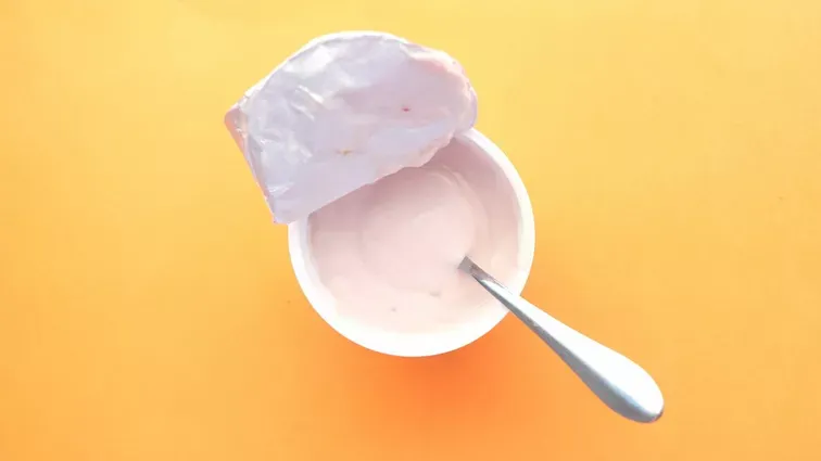 pies je jogurt naturalny