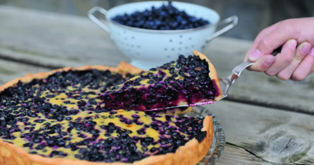 Zdjęcie Das beste Rezept für Heidelbeerkuchen – einfach und unwiderstehlich lecker