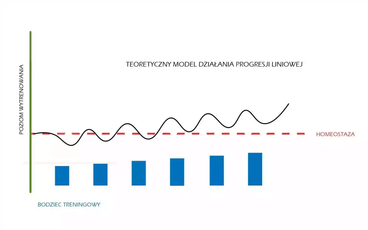 Wykres progresywnego przeciążenia w treningu siłowym
