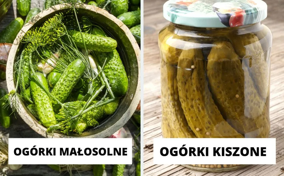 por&oacute;wnanie og&oacute;rek kiszony świeży małosolny