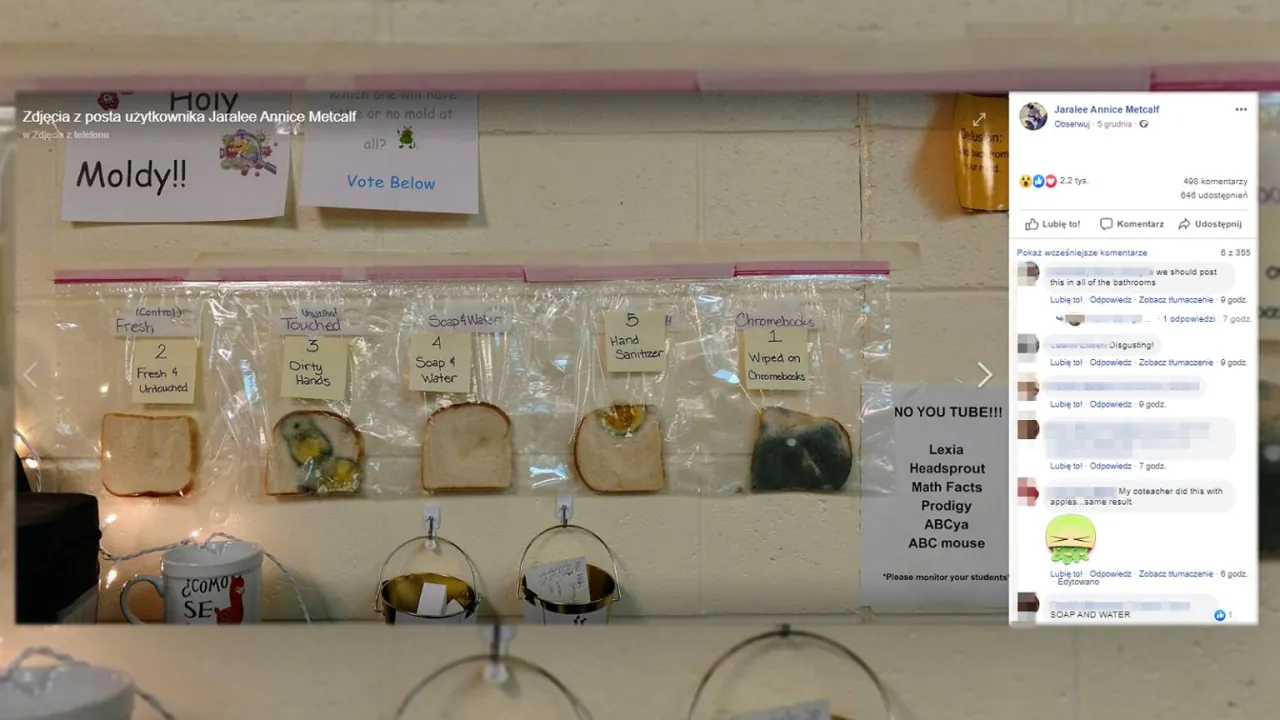 Materiały do eksperymentu z chlebem dla dzieci