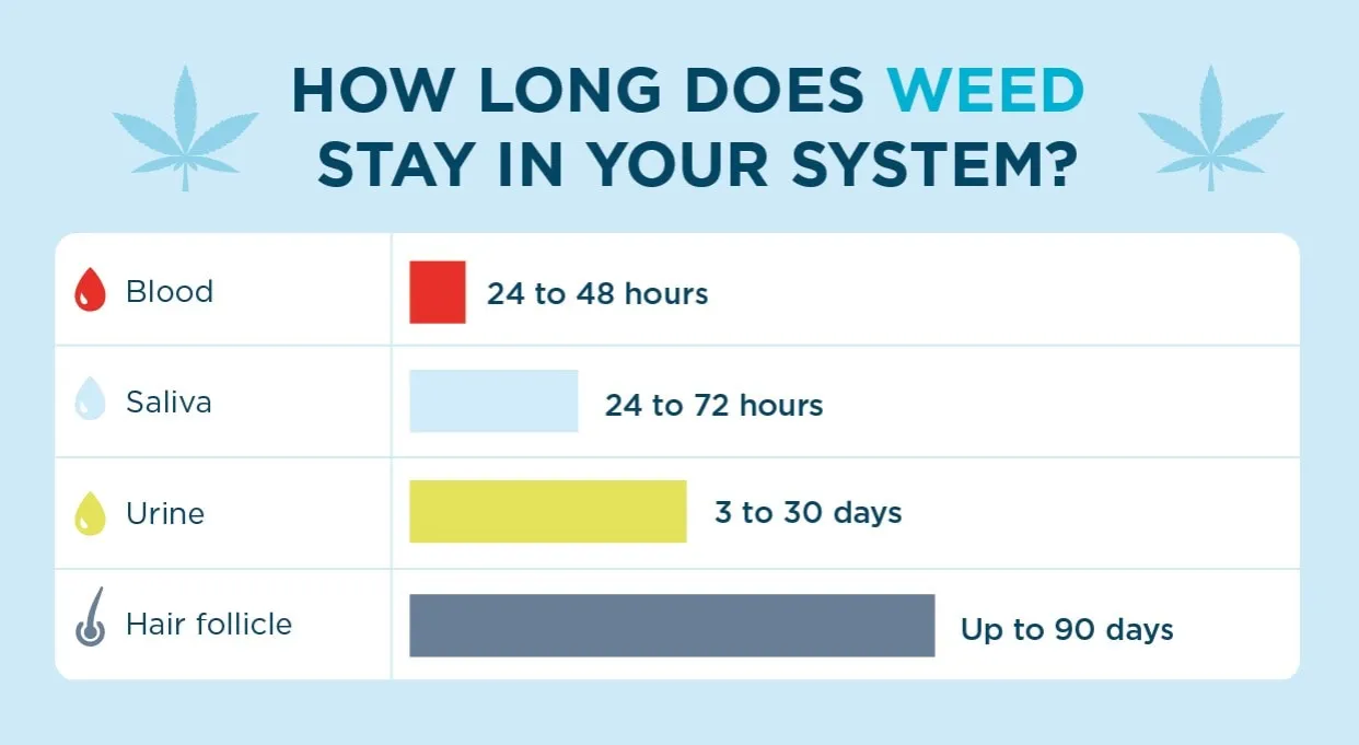 THC detection times chart