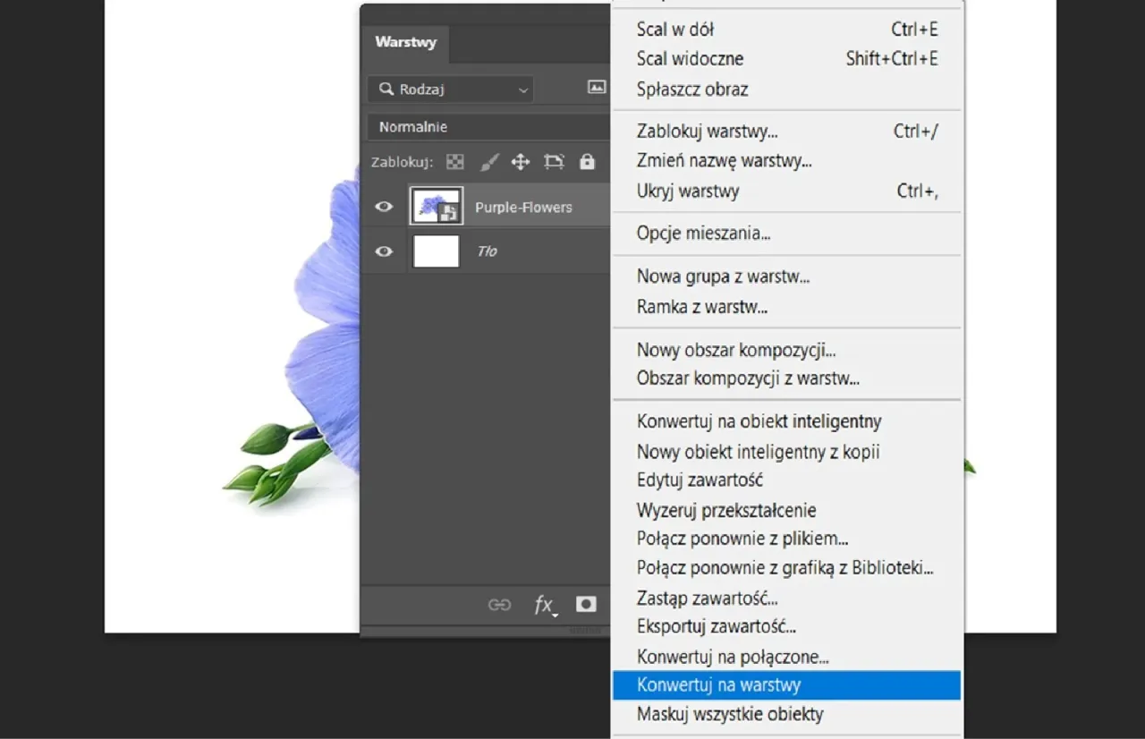 Panel warstw Photoshop uporządkowany