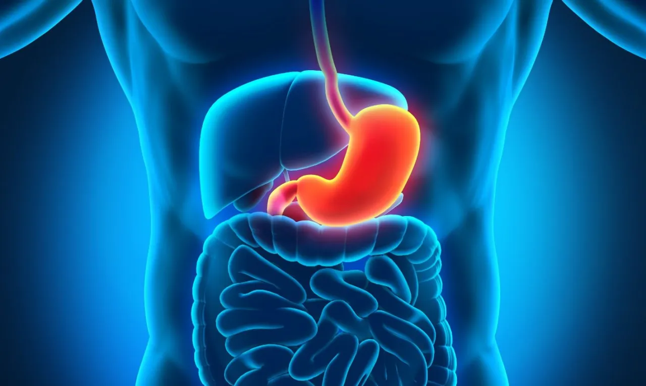 hormony i jelita grafika