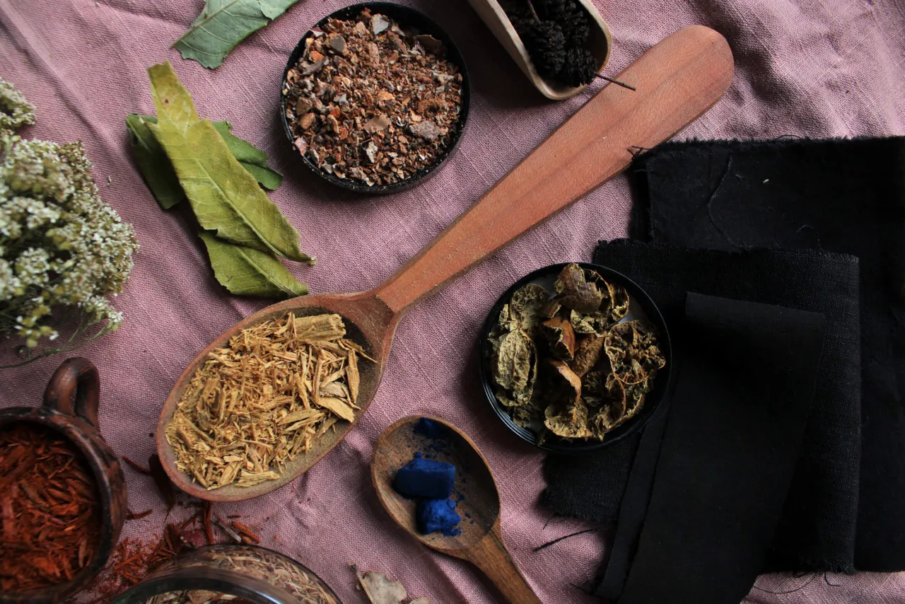 Naturalne barwniki i pr&oacute;bki czarnych tkanin do farbowania ubrań. Drewniane łyżki z suszonymi roślinami i niebieskim proszkiem.