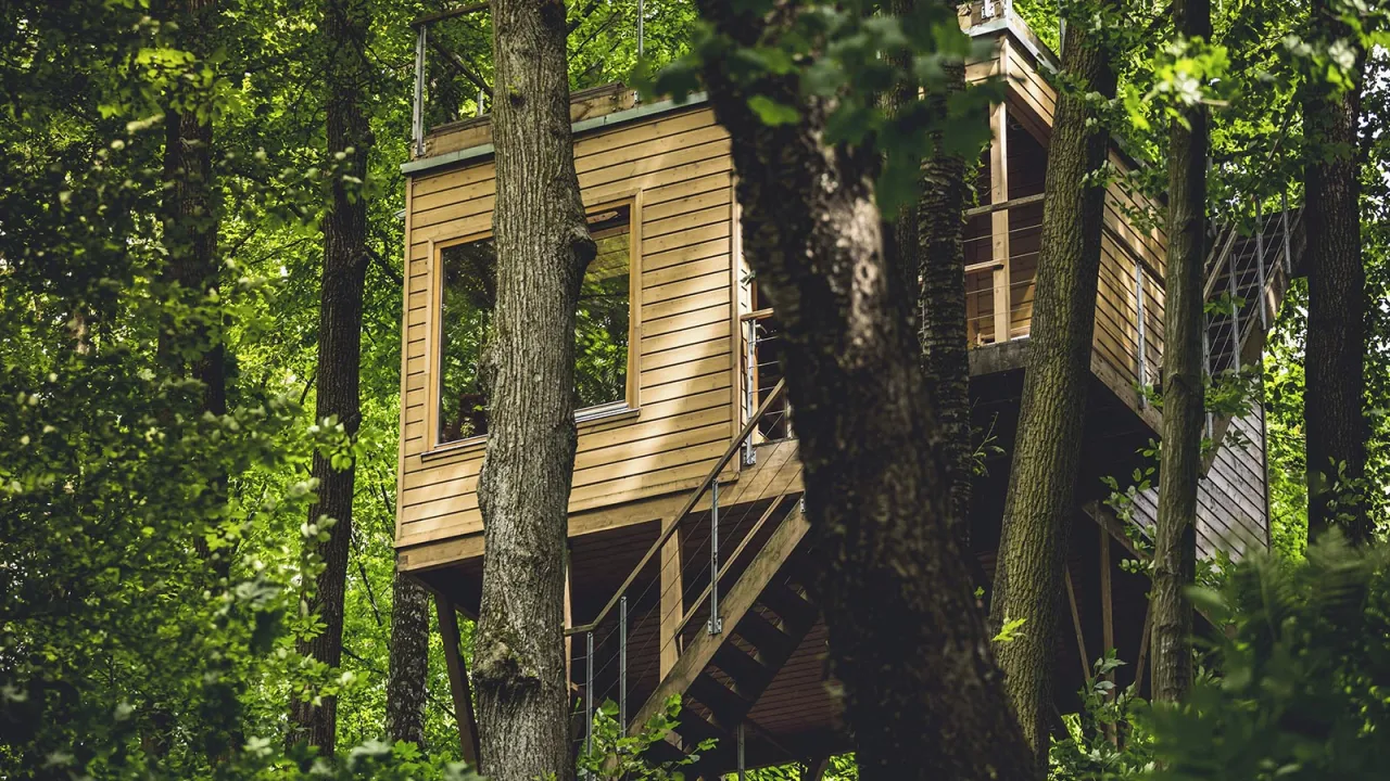 Glamping w Polsce, domki na drzewie