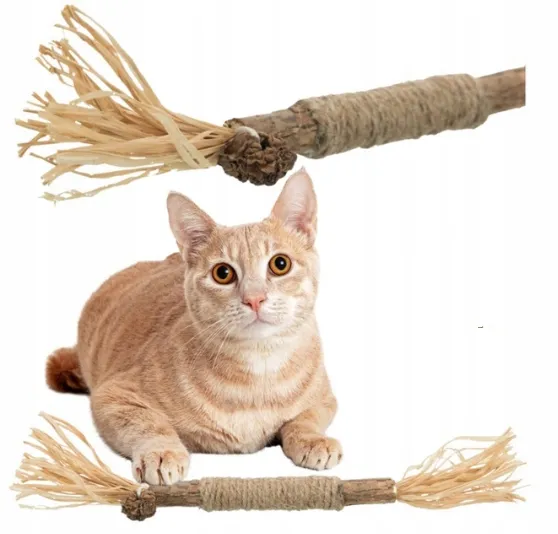 zabawki dla kota na gryzienie, najlepsze zabawki dla kociąt