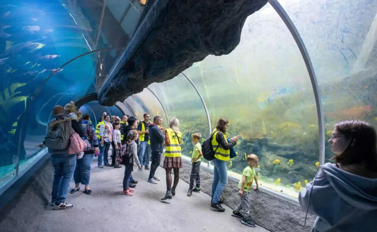 Orientarium Łódź tunel rekiny