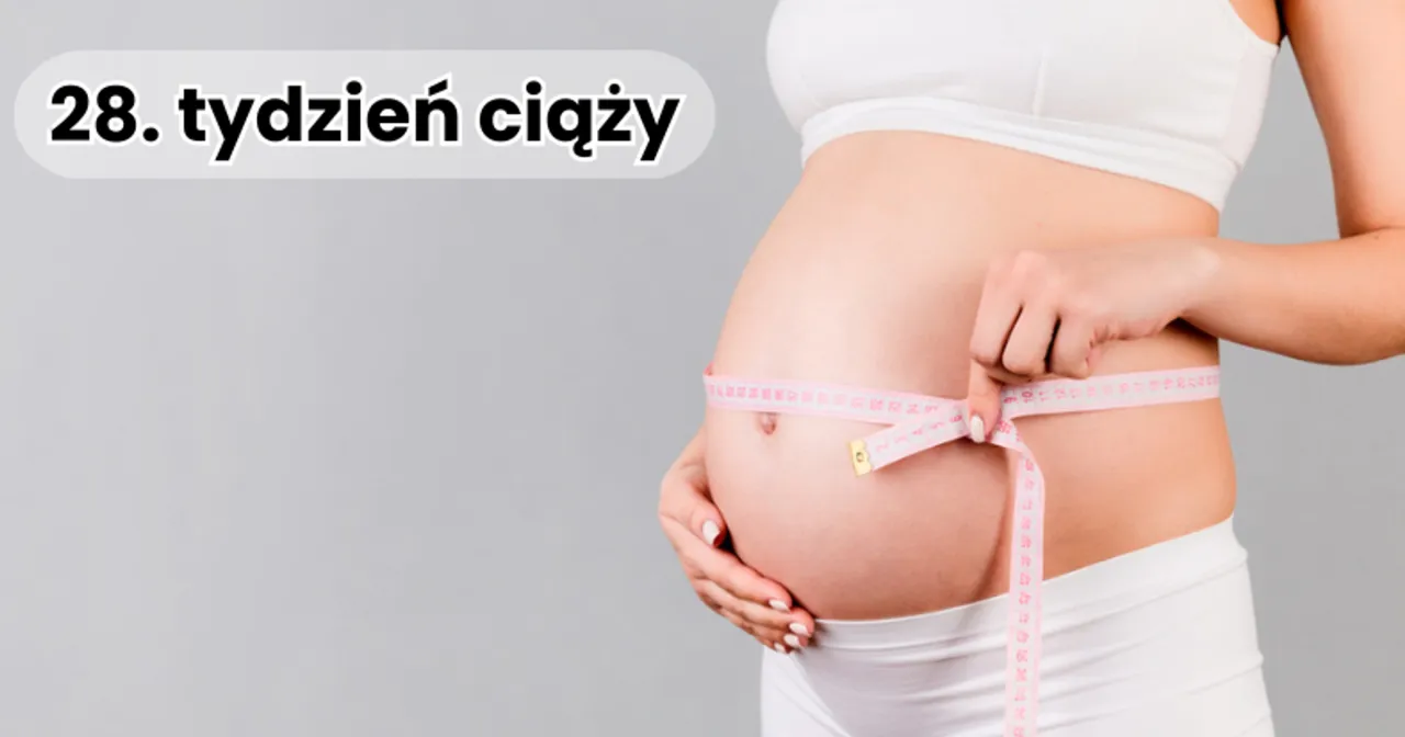 28. tydzień ciąży. Brzuch ciężarnej z miarką, czuć pierwsze ruchy dziecka.