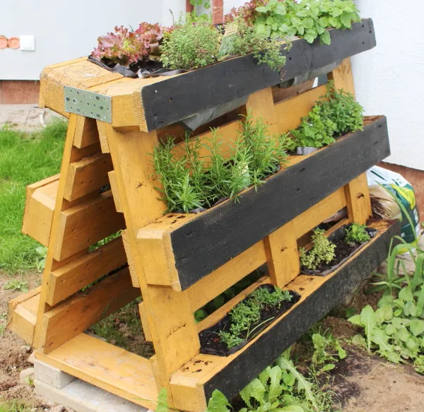 kwietnik z palety z ziołami i kwiatami DIY