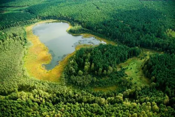 Przyczyna Górna krajobraz jezioro las