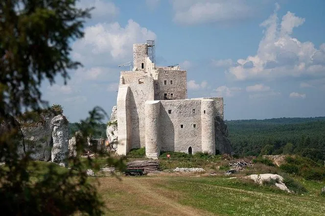 Zdjęcie Zamek w Mirowie: Ruiny, które zachwycają na Szlaku Orlich Gniazd