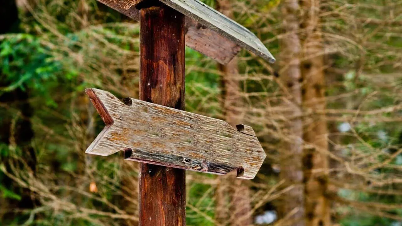 Zdjęcie Bieszczady szlaki czy otwarte? Sprawdź aktualne warunki trekkingowe
