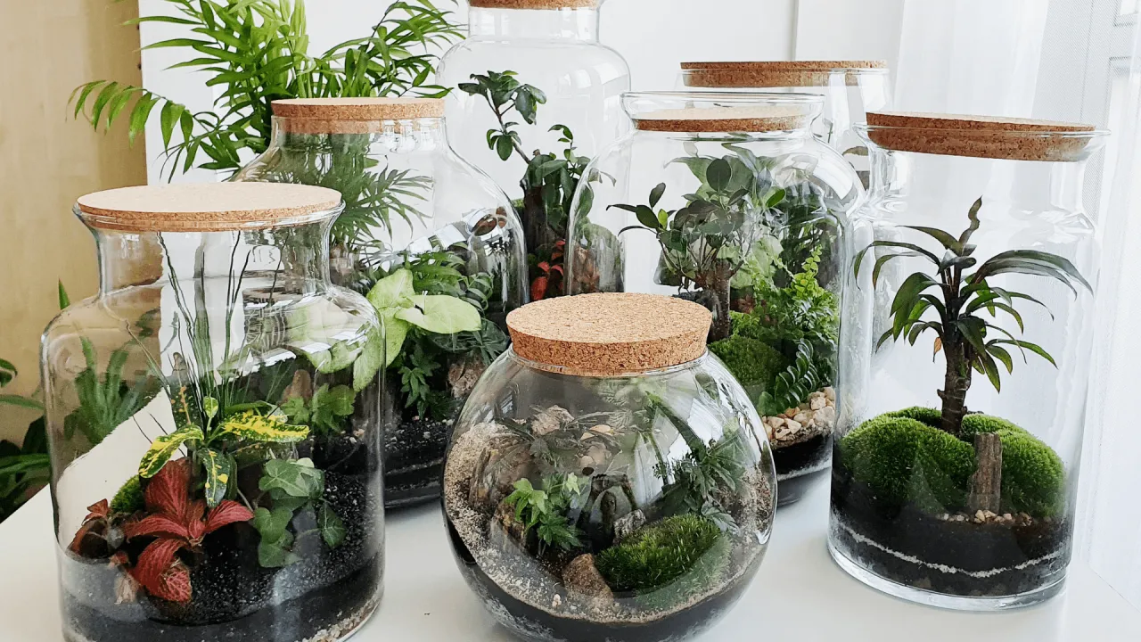 różne style lasu w szkle, las w słoiku inspiracje
