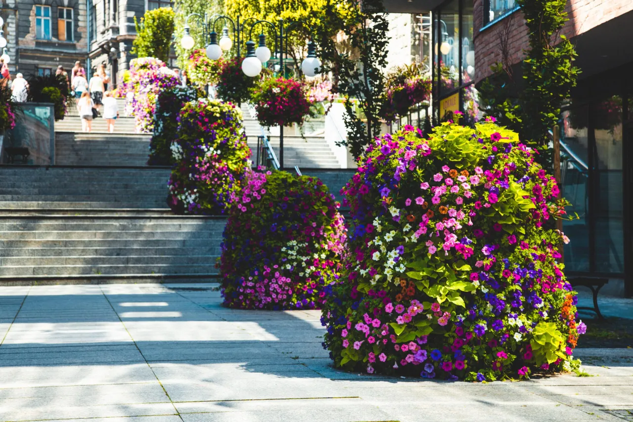 kwietnik kaskadowy inspiracje balkon