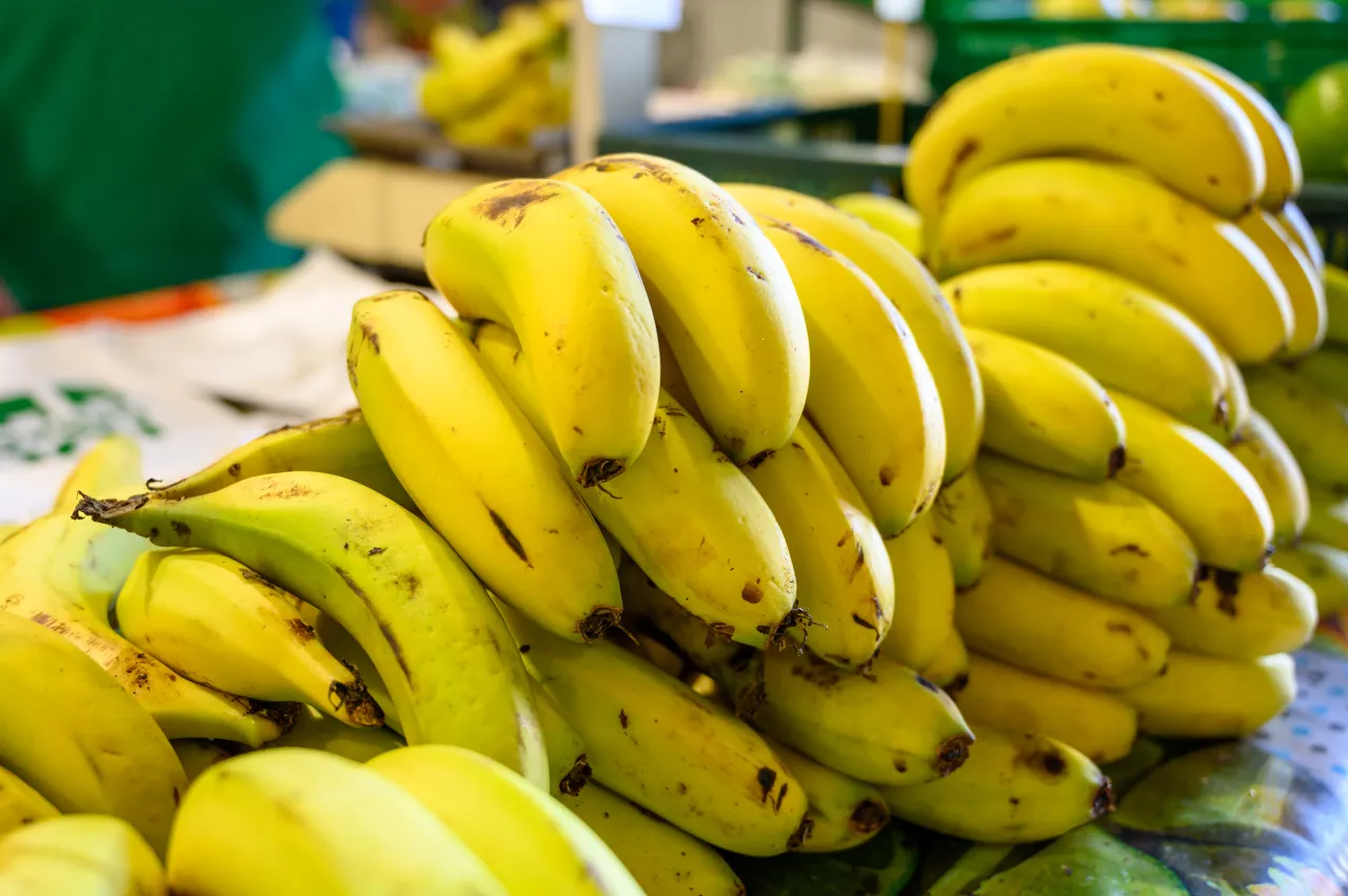 Plátano de Canarias czarne kropki