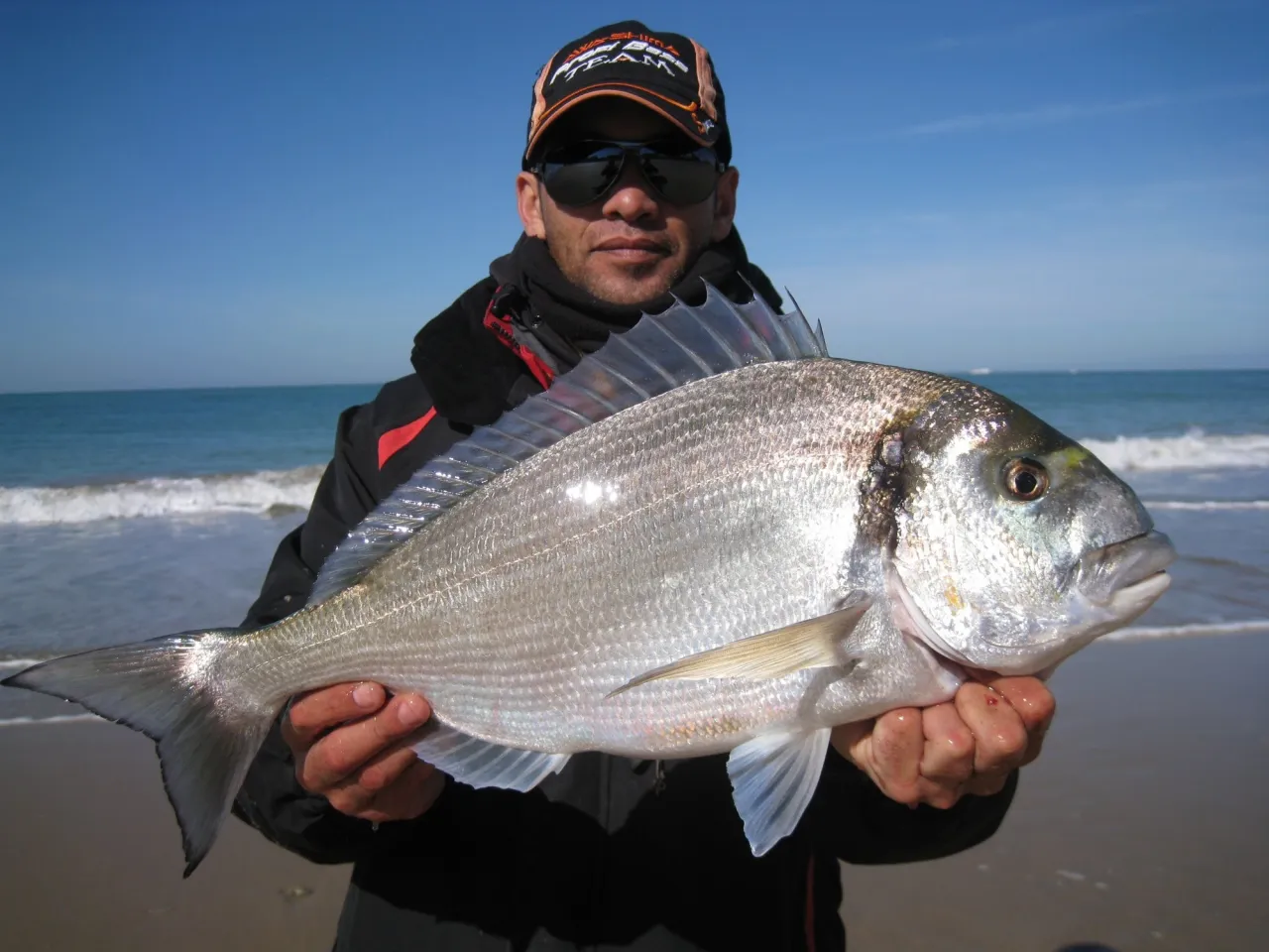Wędkarz z okazałym doradą na plaży w Chorwacji. Idealny okaz, by pokazać, na co łowić ryby w Chorwacji.