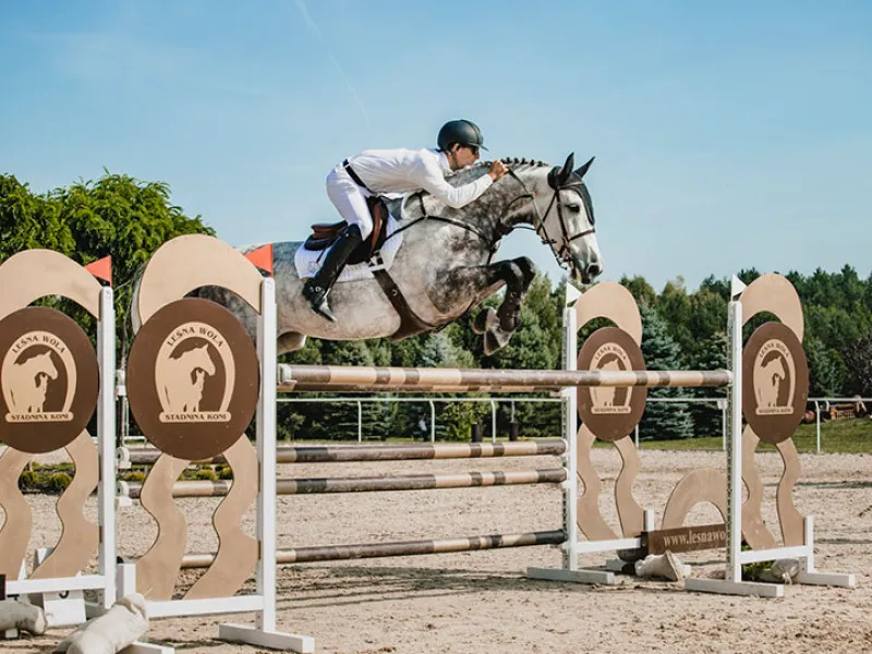 jeździec skaczący przez przeszkodę trening