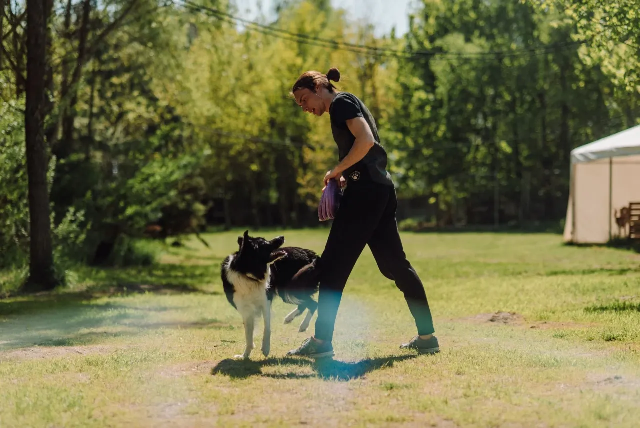 właściciel psa przygotowujący się do treningu