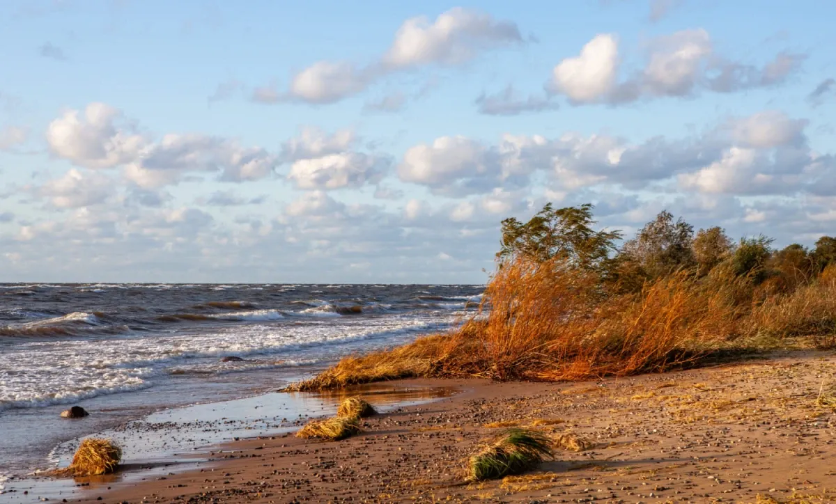spokojna plaża poza sezonem morze bałtyckie