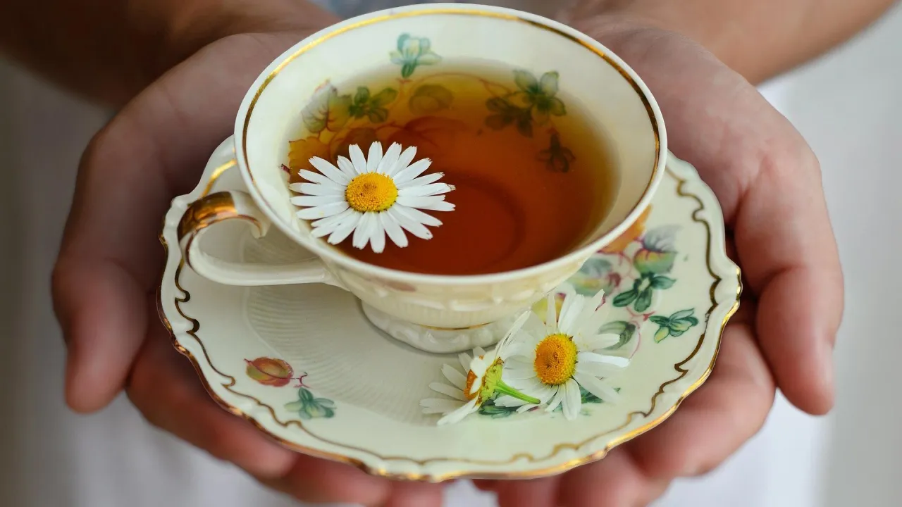 Rumianek kwiaty i filiżanka herbaty